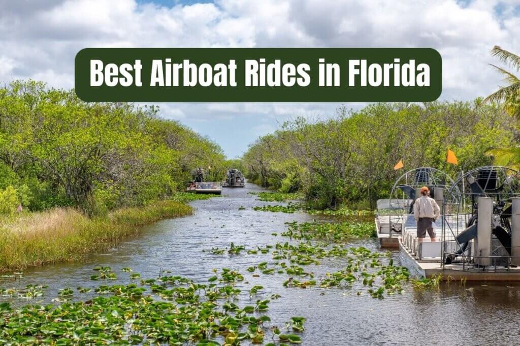 13 Best Airboat Rides in Florida (2024) • Authentic Florida