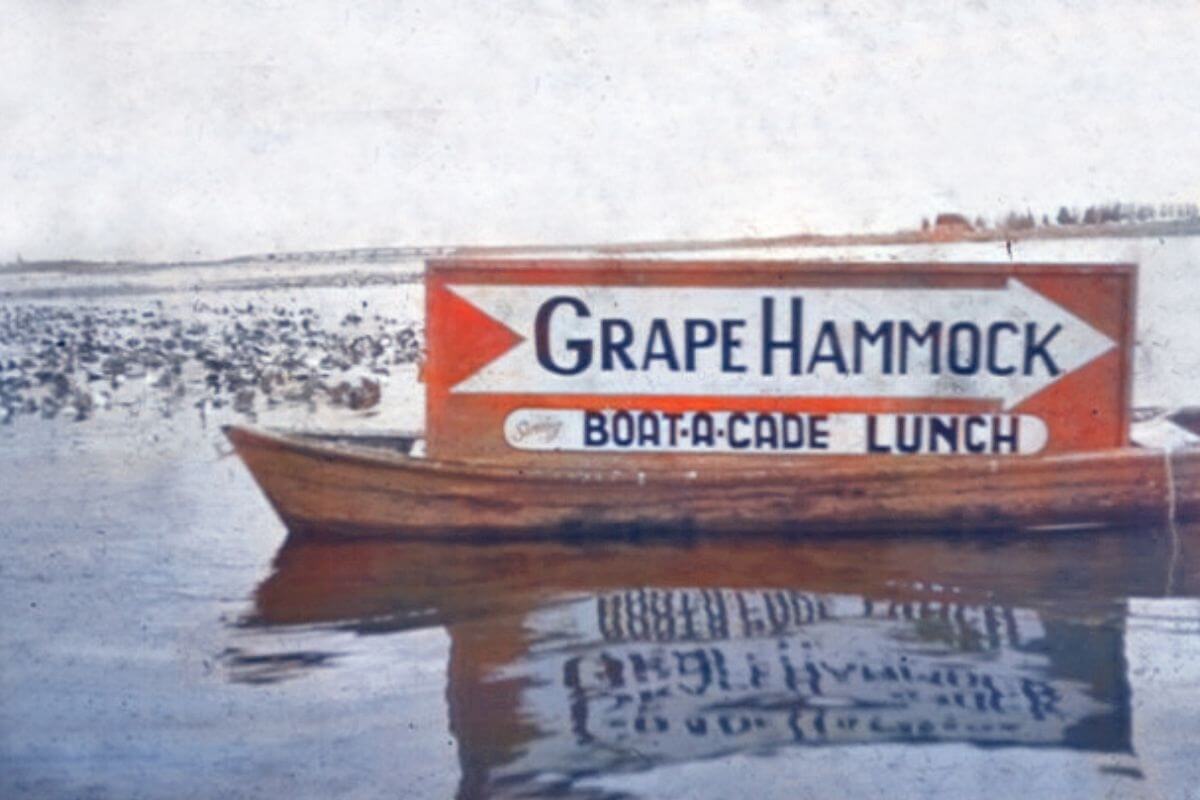 Grape Hammock Boat A Cade Lunch old sign on the water