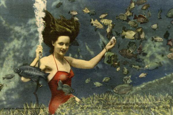 Weeki Wachee mermaid postcard from 1949