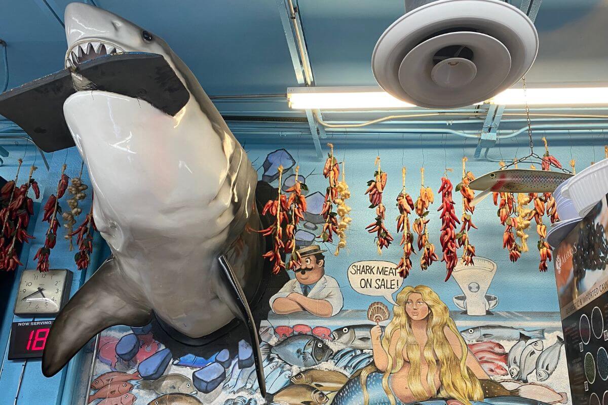 Shark coming out of a wall in a shop. 