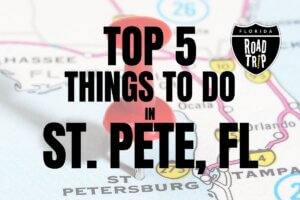 Top 5 Things to Do in St. Pete FL
