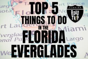 Top 5 Things to Do in the Florida Everglades