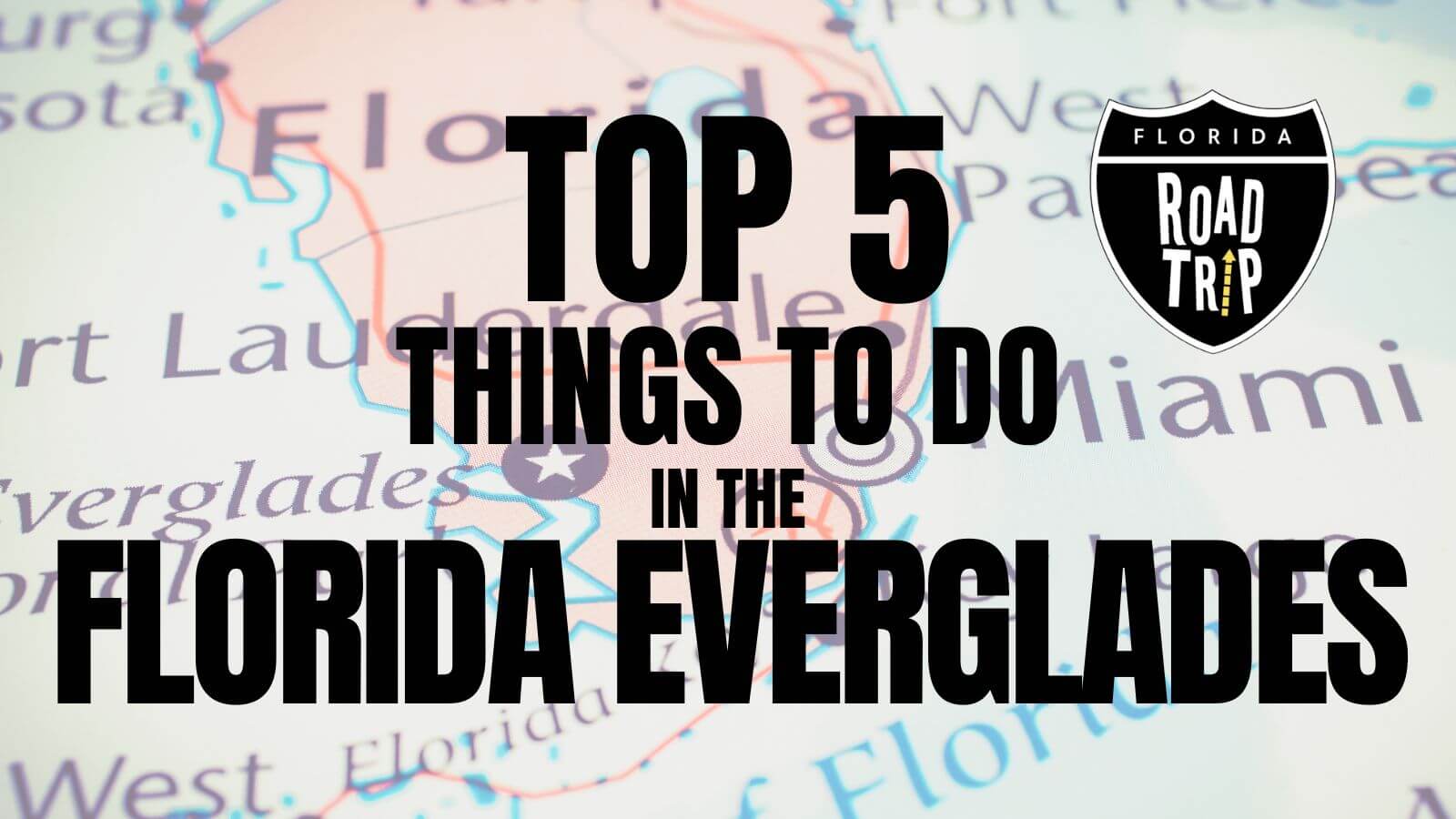 Top 5 Things To Do In The Florida Everglades Authentic Florida
