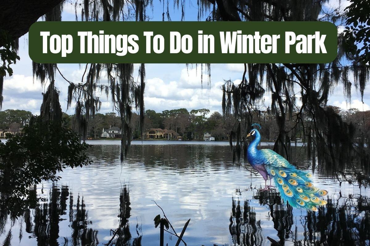 Top Things to Do in Winter Park including Azalea Park
