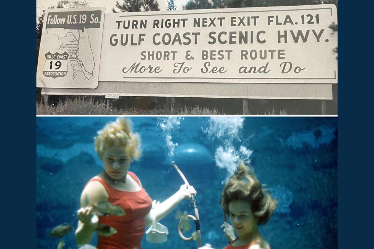US19 and mermaids from Florida Roadside Attractions History
