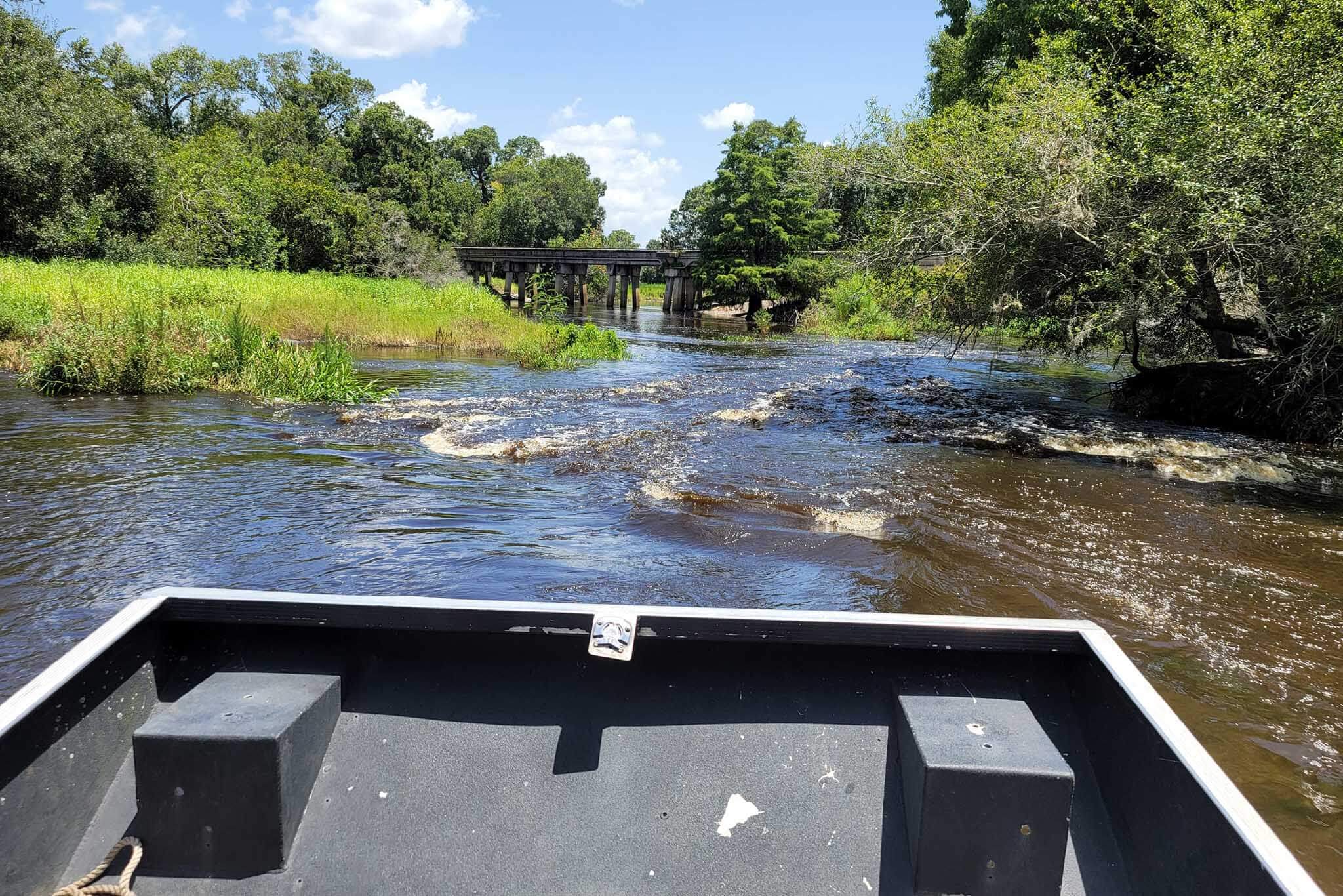 View from the boat on Airboat Wildlife Adventures