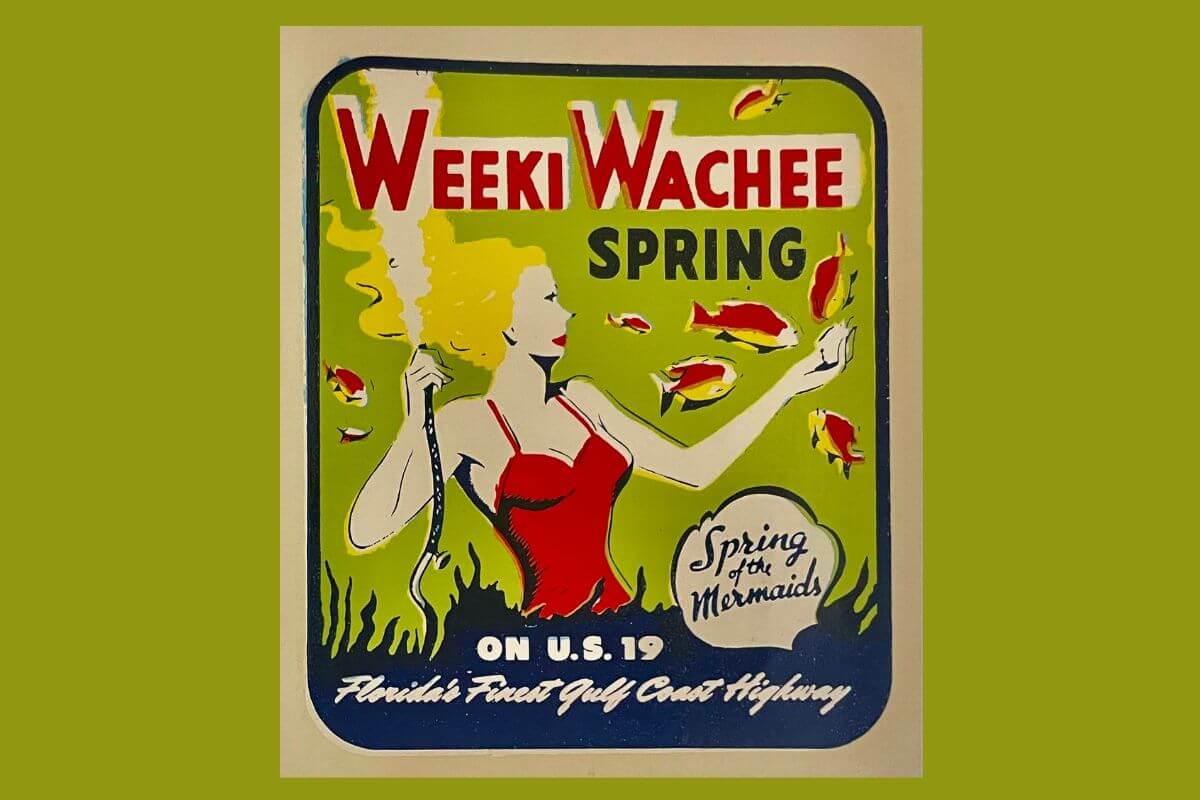 Weeki wachee spring flyer 
