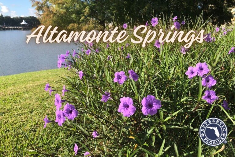 11 Best Things to Do in Altamonte Springs (2025) • Authentic Florida