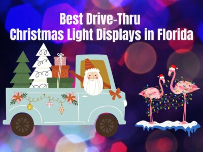 12+ Best Drive-Thru Christmas Light Displays in Florida