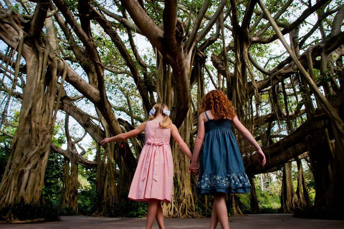 Girls by a tree. 
