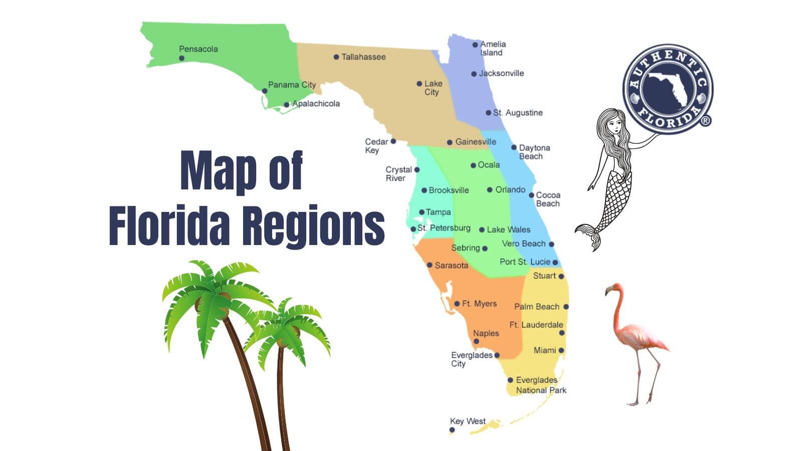 Map Of Florida Regions •