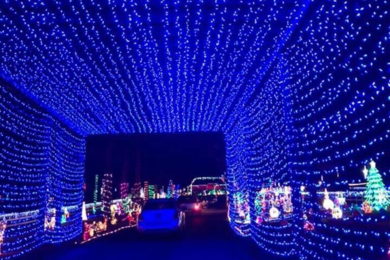 12+ Best DriveThru Christmas Light Displays in Florida (2024))