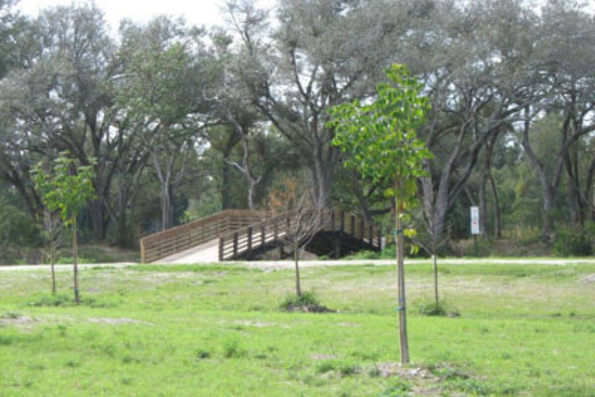 Bridge in park. 