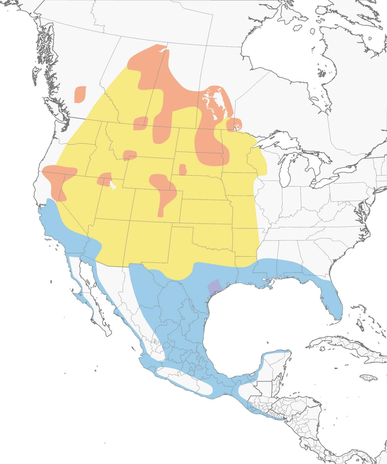 American White Pelican migration map