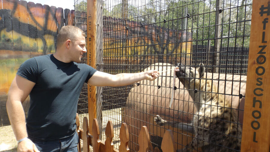 Man with hyena at Florida International Teaching Zoo 