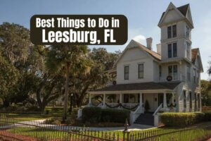 Best Things to Do in Leesburg, FL