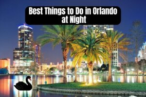 Best Things to do in Orlando at night