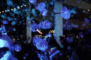 Unique New Year’s Eve Events in Florida to Ring In 2026 • Authentic Florida