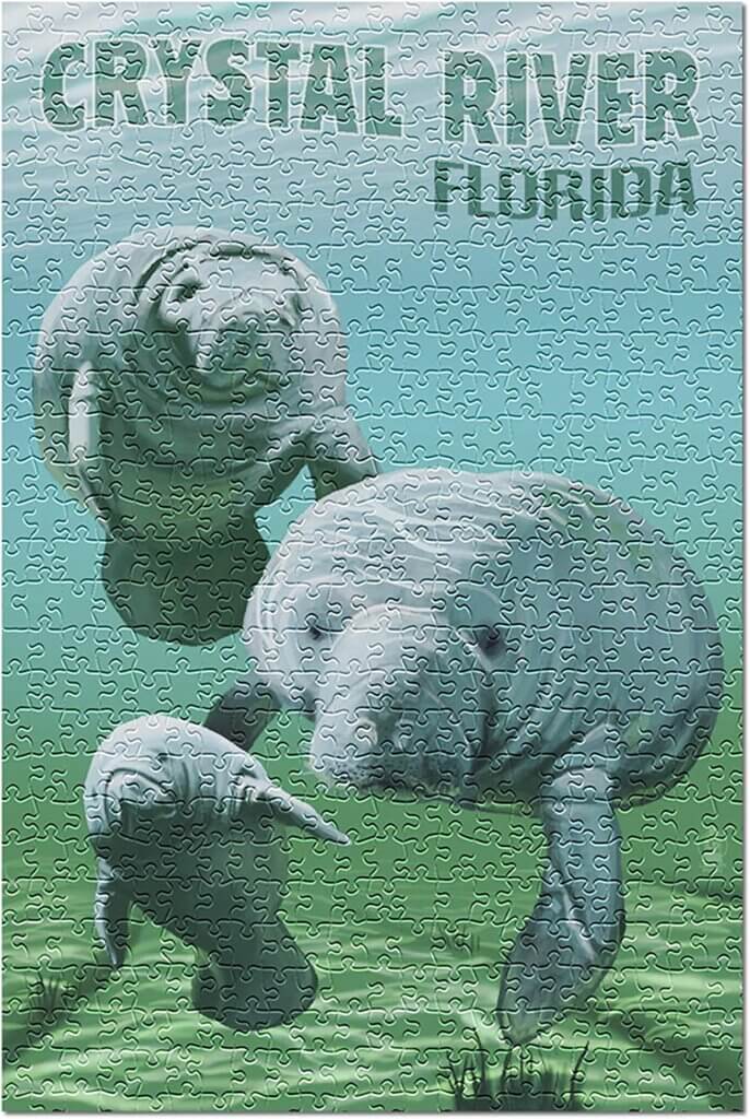 Crystal River Manatees Puzzle
