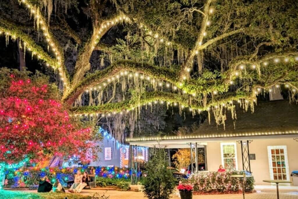 Light Up Your Holidays tree by Visit Tallahassee