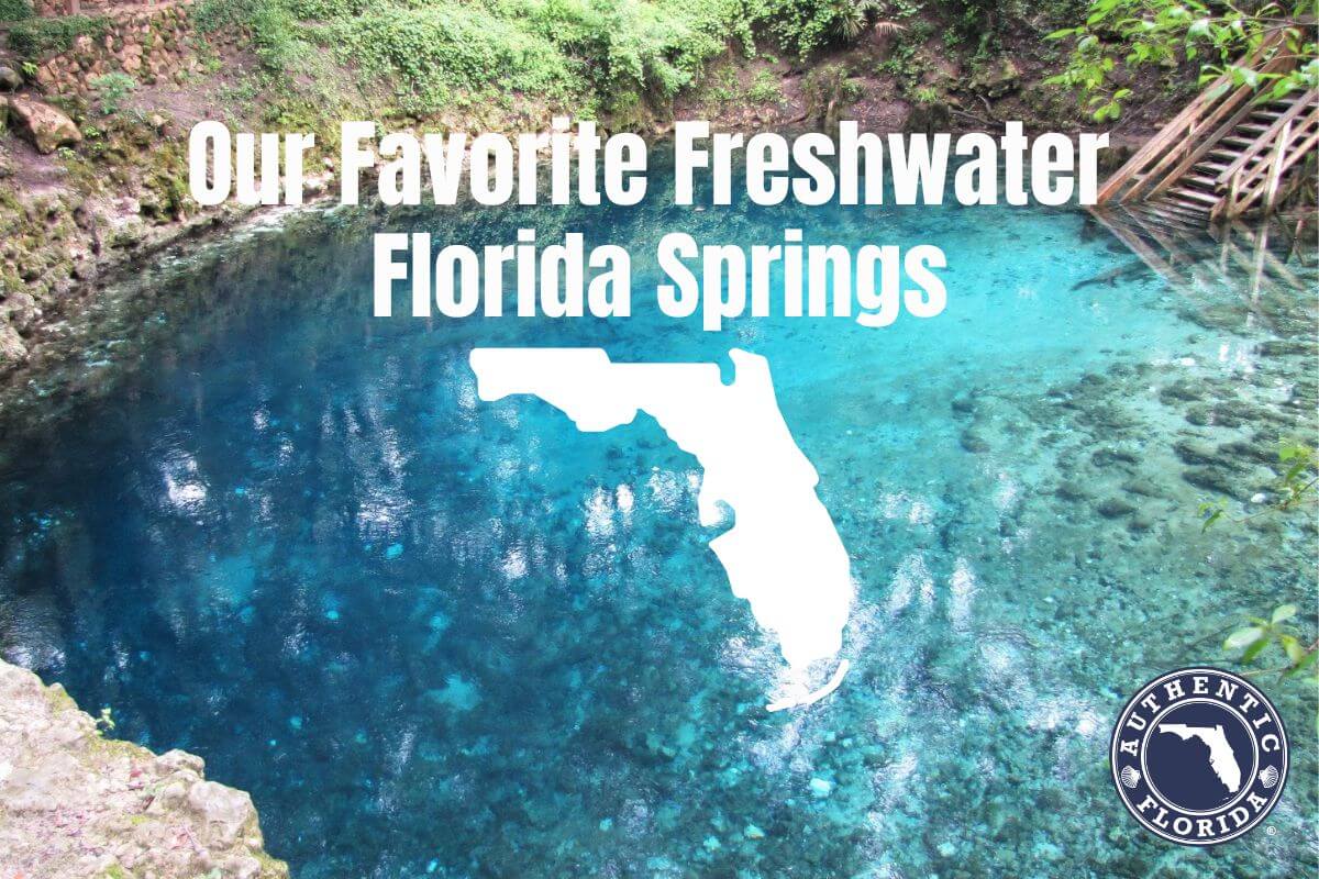 Your Guide to Florida's Natural Springs