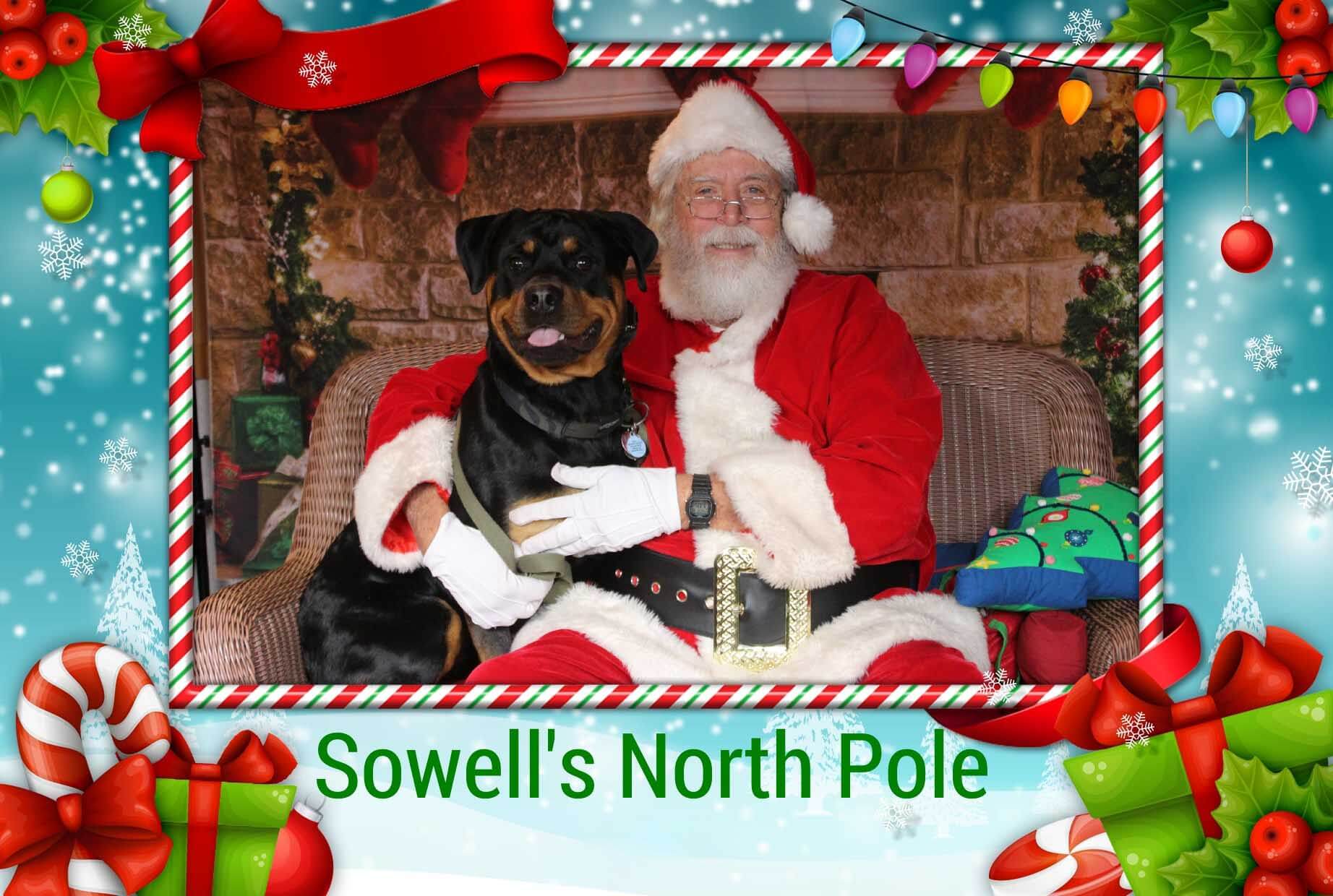 Rottweiler on Santa's Lap with the words Sowell's North Pole at the bottom of the image. 