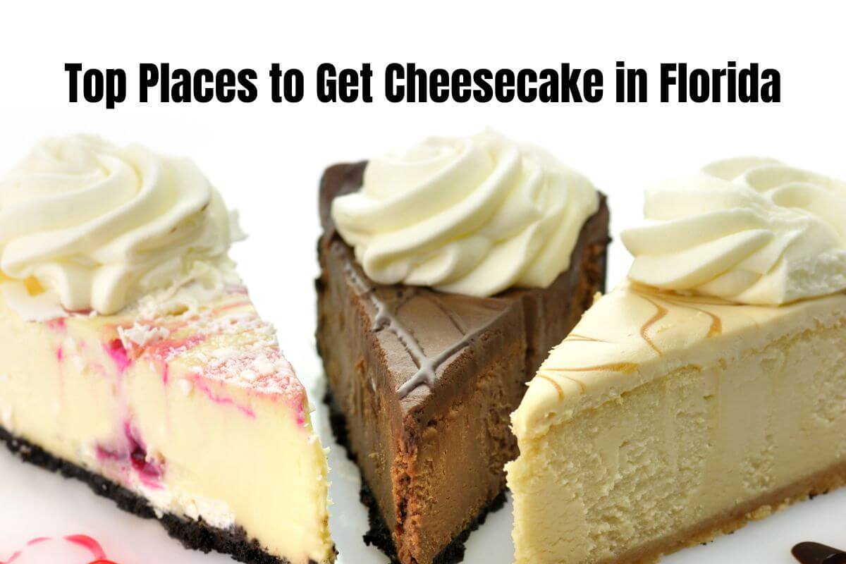 Top Places to Get Cheesecake in Florida