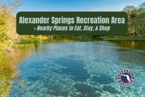 Alexander Springs Recreation Area + Nearby Places to Eat, Stay, & Shop