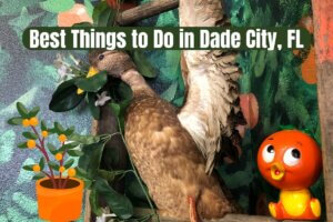 Best Things to Do in Dade City, FL