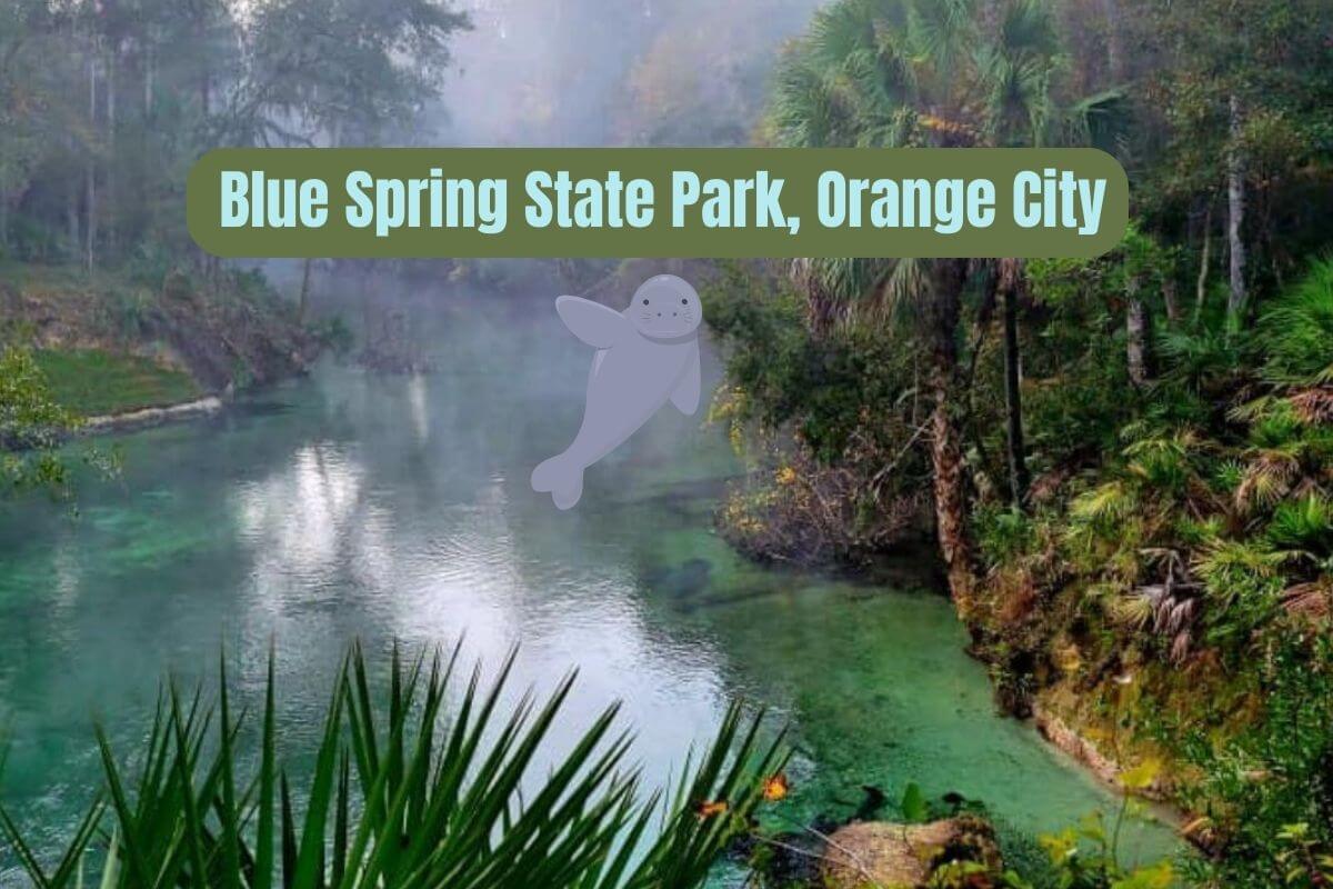 2023 Fireflies experience at Blue Spring State Park in Orange City