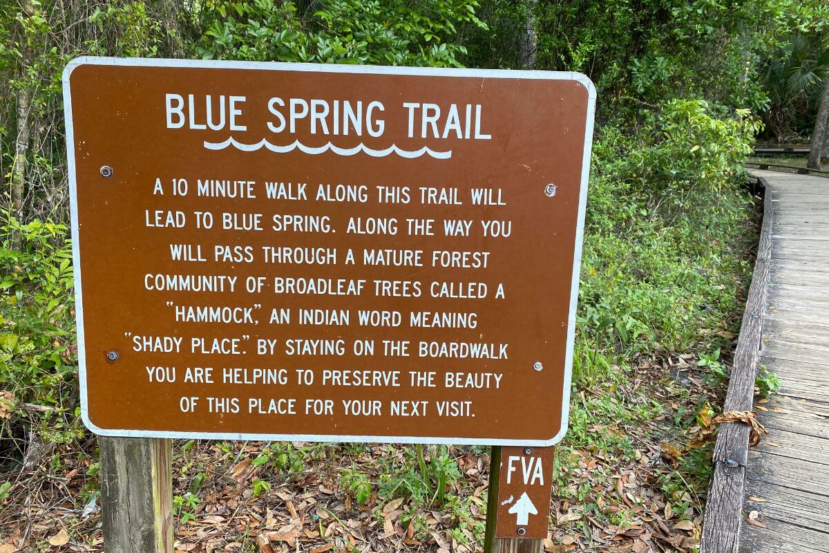 Sign that reads Blue Spring Trail- A ten minute walk along this trail will lead to Blue Spring. Along the way you will pass through a mature forest community of broadleaf trees called a "Hammock," an indian word meaning shady place. By staying on the boardwalk you are helping to preserve the beauty of this place for your next visit. 