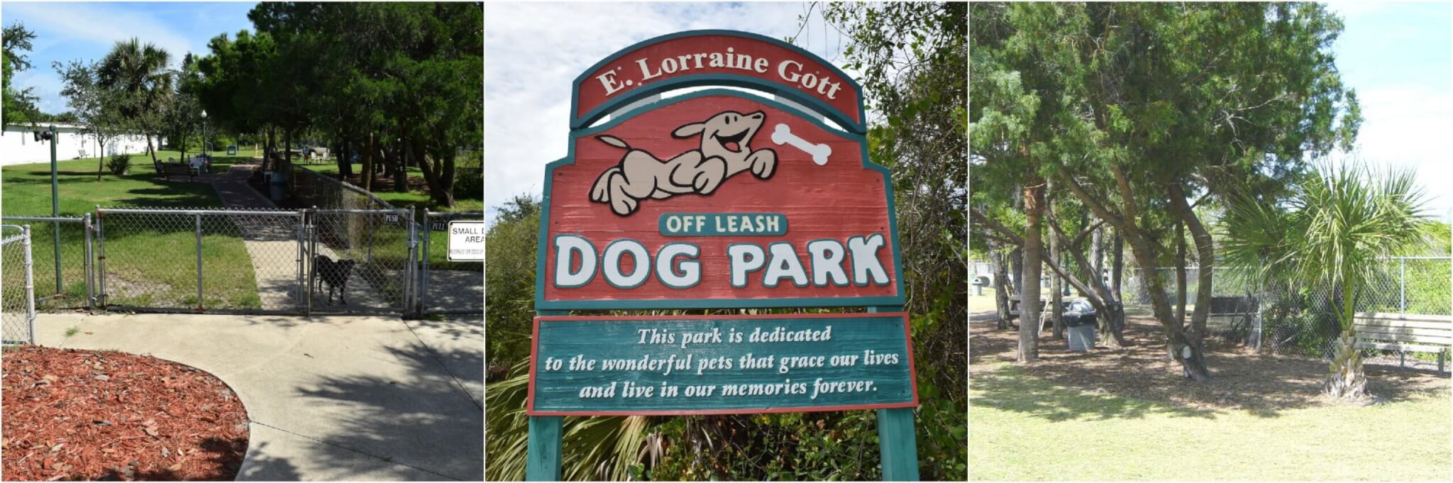 E. Lorraine Gott Dog Park.
