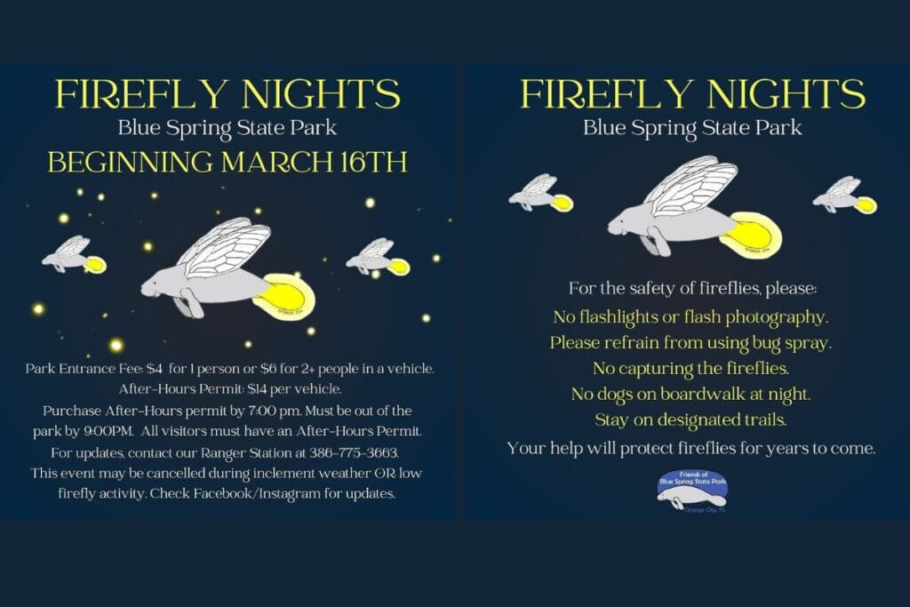Firefly Nights at Blue Spring State Park 2024
