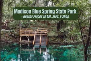 Madison Blue Spring State Park + Nearby Places to Eat, Stay, and Shop