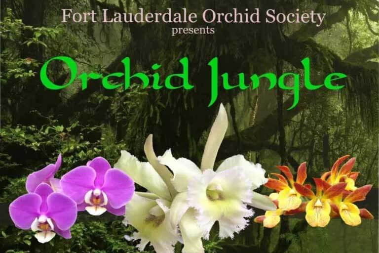 Our 64th Annual Orchid Show
