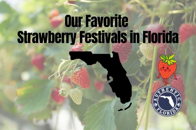 Our Favorite Strawberry Festivals in Florida (2025) • Authentic Florida