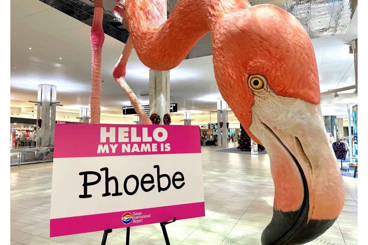 Phoebe the Flamingo at the airport 