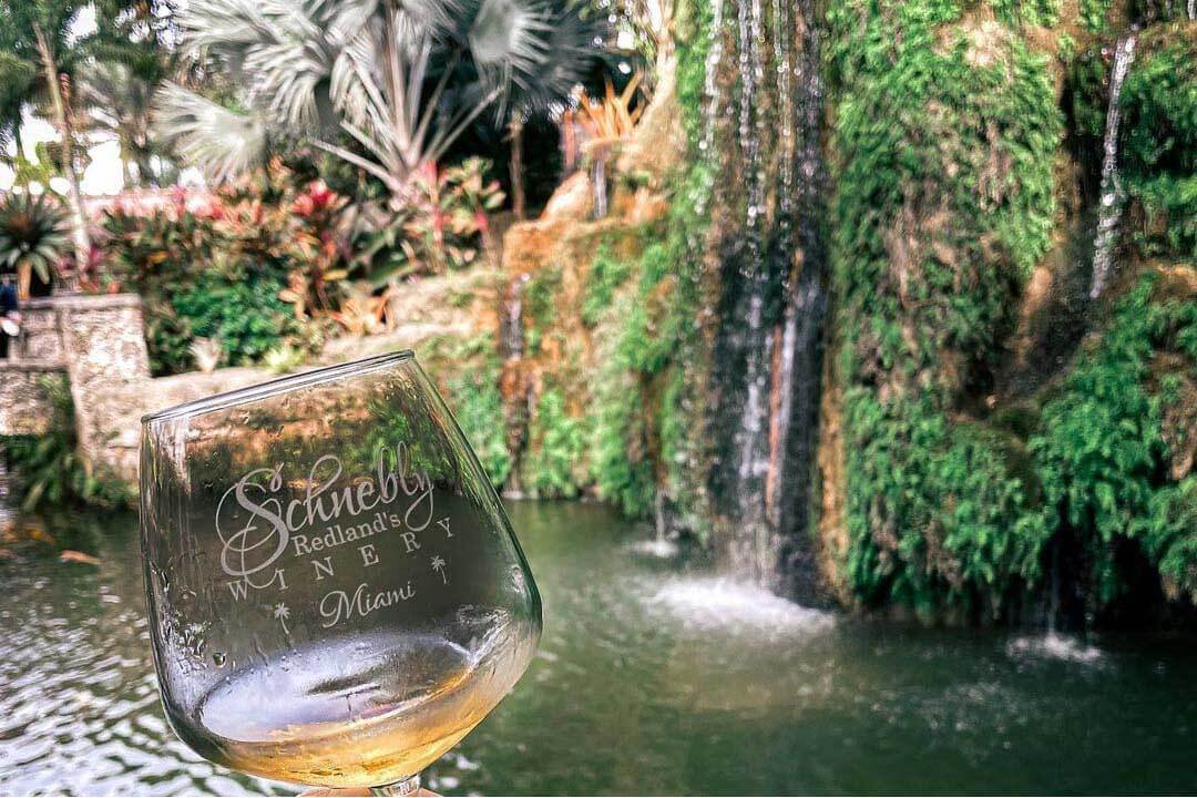 Schnebly Redlands Winery wine glass in front of a waterfall. 