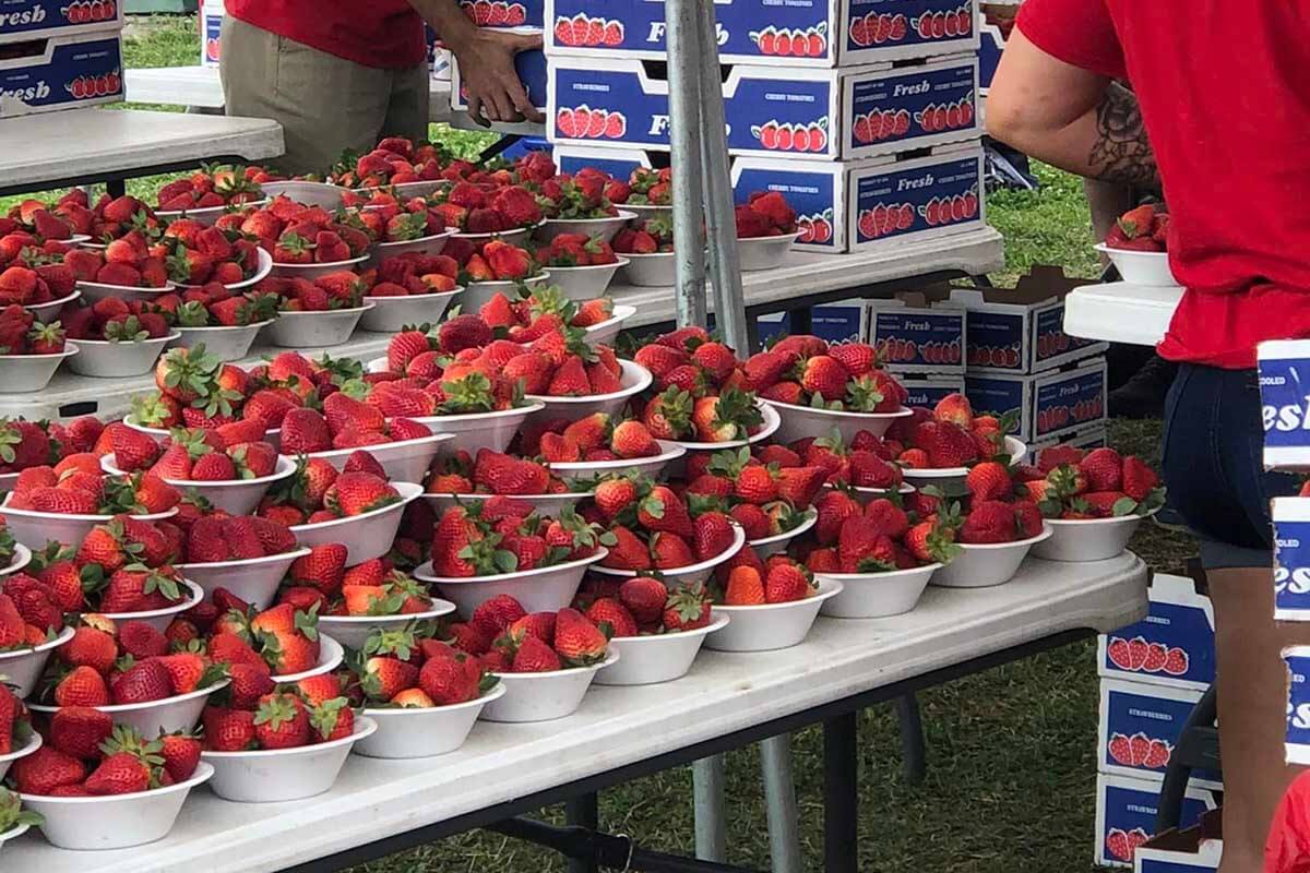 Strawberries at Clay County Strawberry Festival