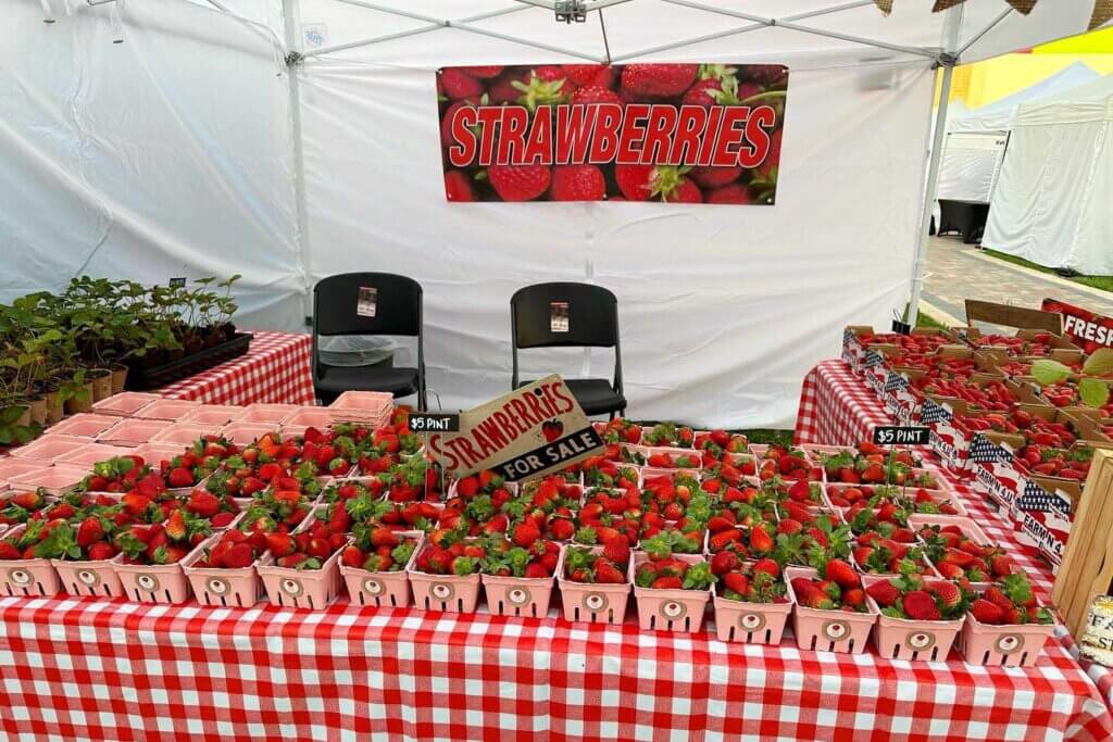 Strawberries at a strawberry festival