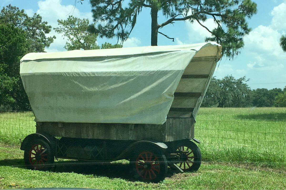 Things to do in Dade City include visit the Pioneer Museum.