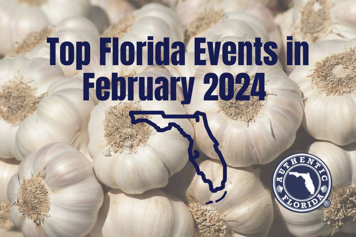 Top Florida Festivals in February 2024
