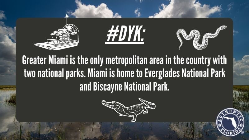 "Greater Miami is the only metropolitan area in the country with two national parks. Miami is home to Everglades National Park and Biscayne National Park." 