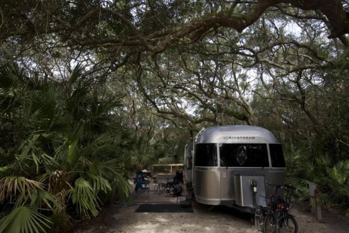 camper trailer in the woods. 