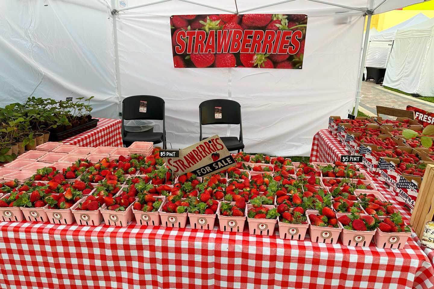 strawberries at a festival