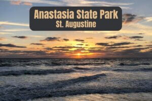 Anastasia State Park in St. Augustine featured photo
