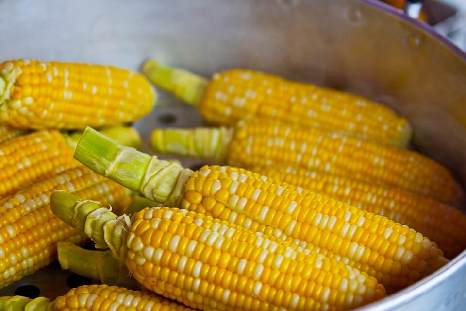 Pot of corn. 