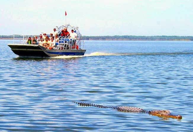 Crazy Fish Airboat Tour 