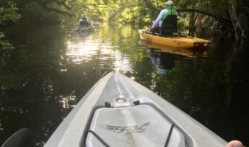 Estero River Kayaking 