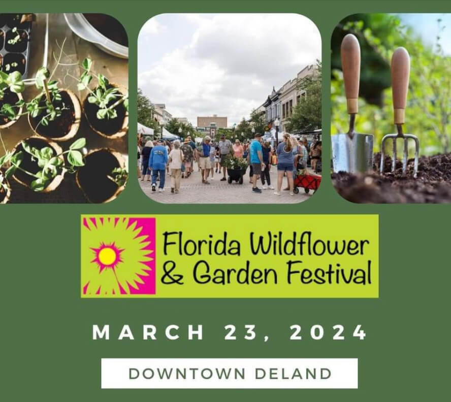 Florida Wildflower and Garden Festival - Deland